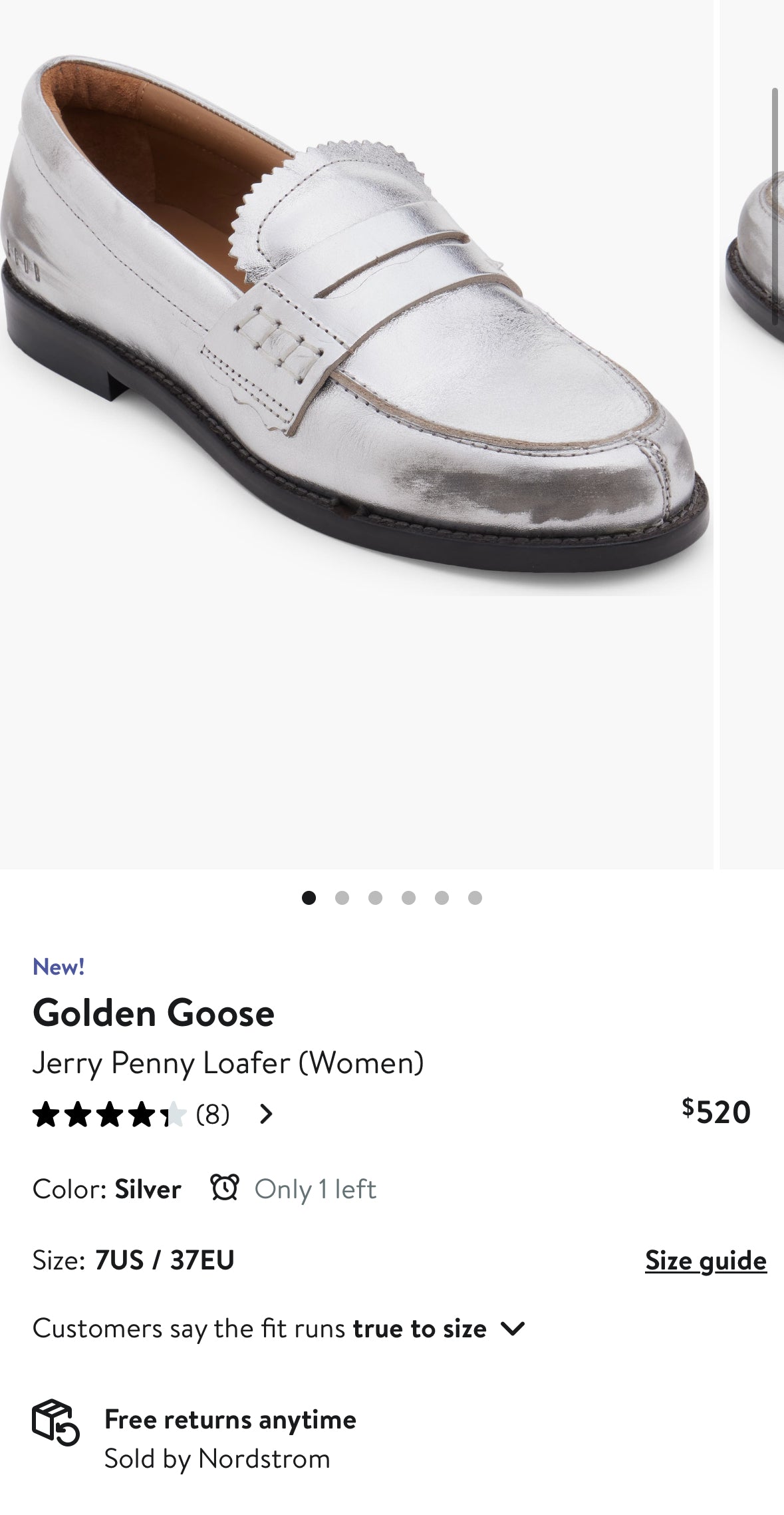 Golden Goose “Jerry” Penny Loafer in Silver (7)