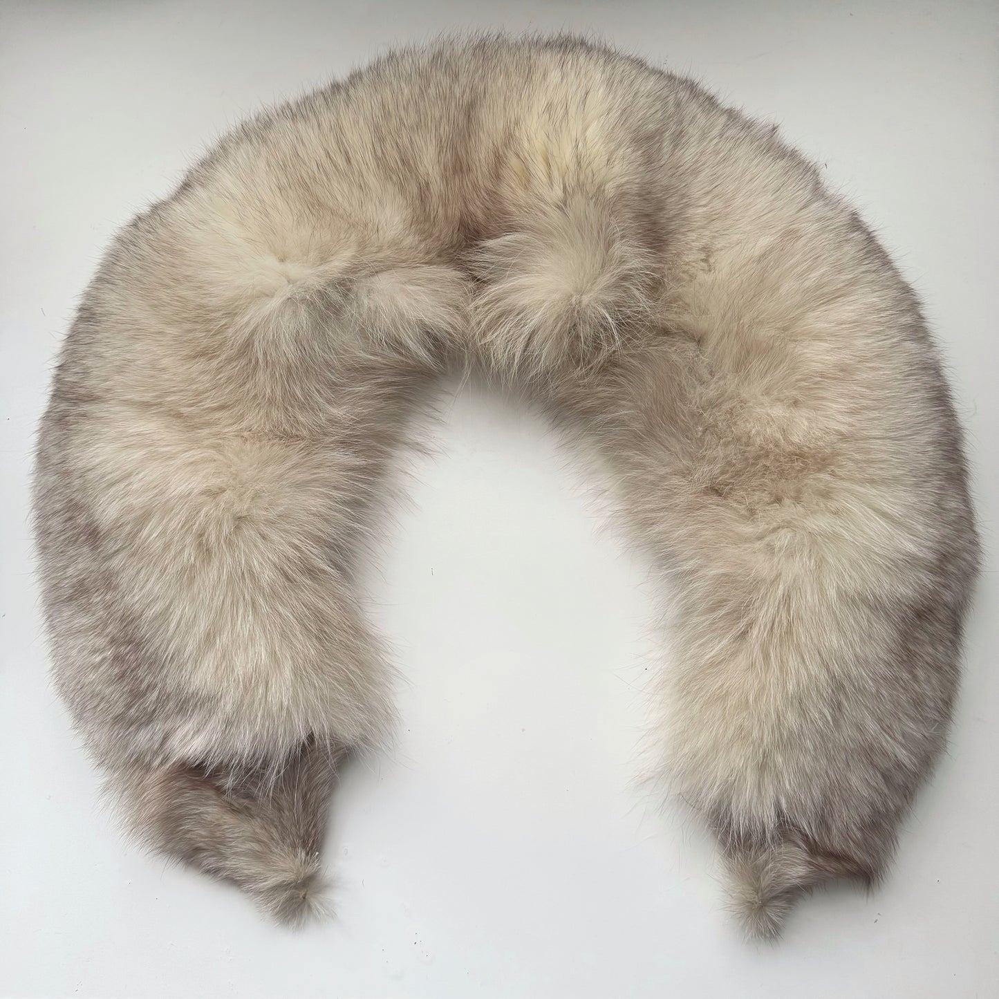 50s Genuine Fox Collar Accessory